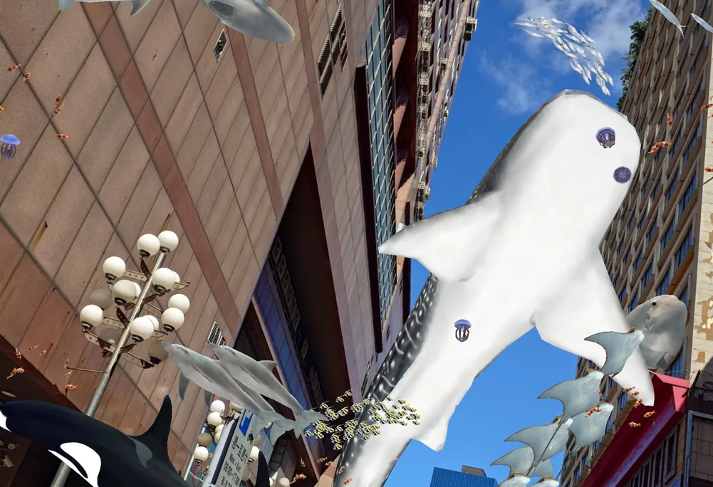 AR 海洋生物畫面 03