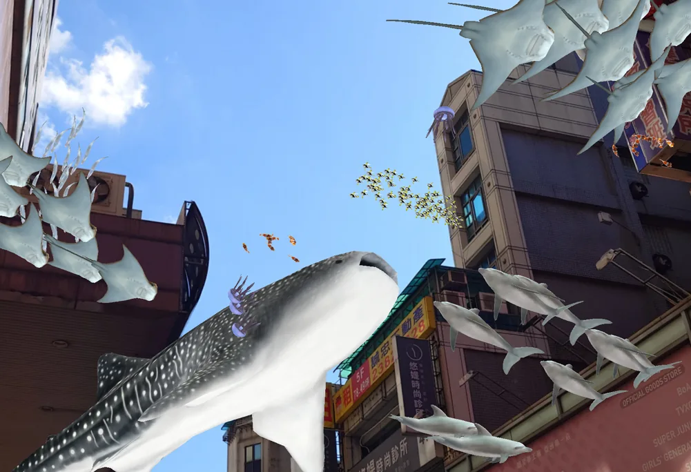 AR 海洋生物畫面 04